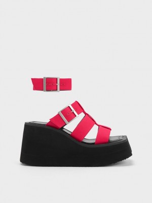 Charles And Keith IIsa Flatform Gladiator Platform Sandals Fuchsia | PHILIPPINES C087