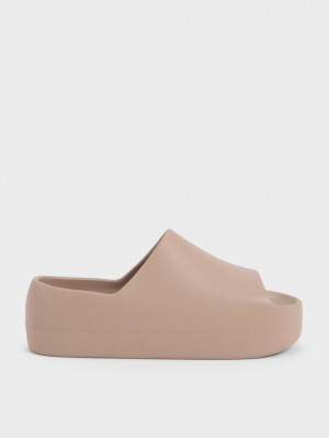 Charles And Keith Morgan Platform Slide Sandals Brown | PHILIPPINES Y427