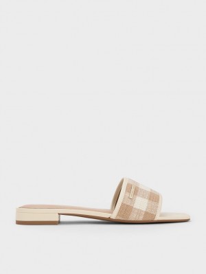 Charles And Keith Woven Gingham Flat Sandals Beige | PHILIPPINES G192