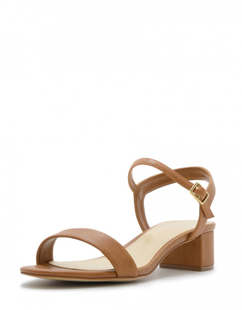 Charles And Keith Basic Open-Toe Heels Sandals Brown | PHILIPPINES G956