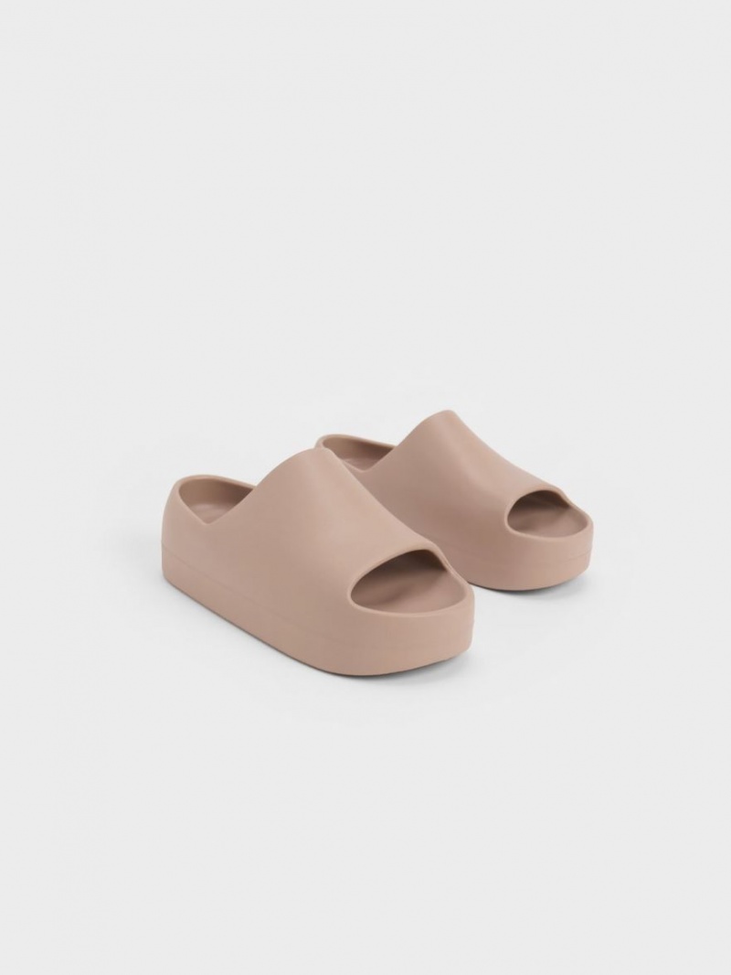 Charles And Keith Morgan Platform Slide Sandals Brown | PHILIPPINES Y427