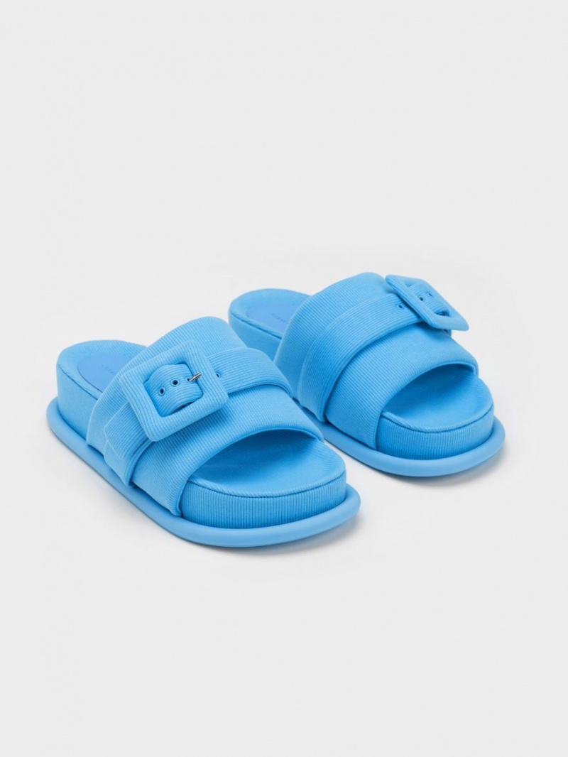 Charles And Keith Sinead Woven Buckled Slide Sandals Blue | PHILIPPINES N031