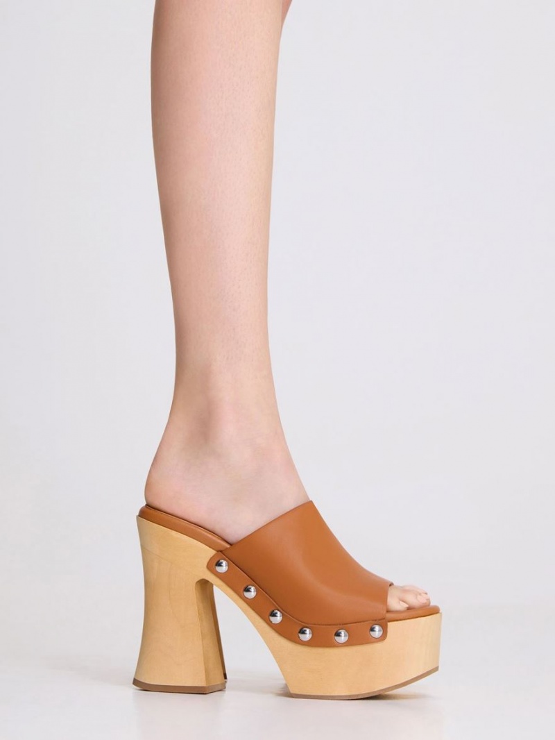 Charles And Keith Tabitha Leather Platform Clogs Brown | PHILIPPINES T163