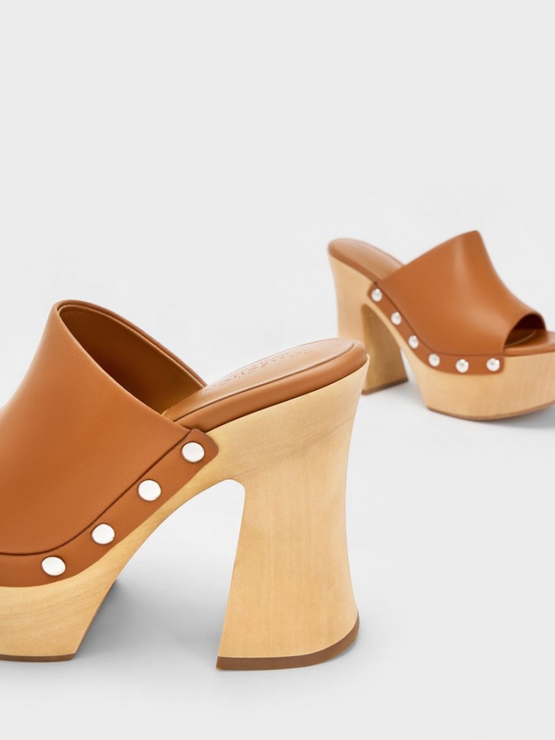 Charles And Keith Tabitha Leather Platform Clogs Brown | PHILIPPINES T163