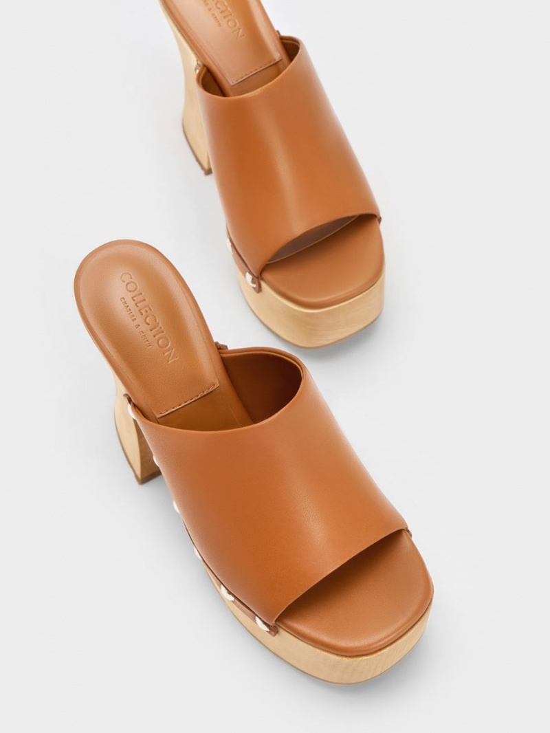 Charles And Keith Tabitha Leather Platform Clogs Brown | PHILIPPINES T163