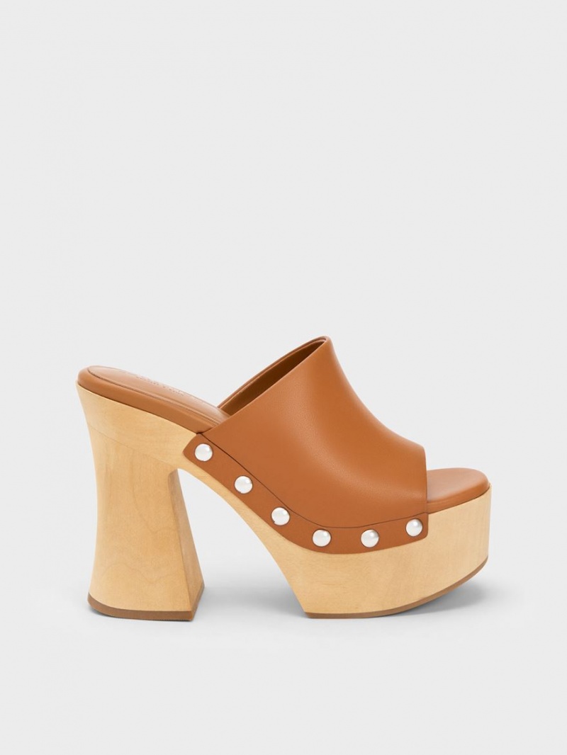 Charles And Keith Tabitha Leather Platform Clogs Brown | PHILIPPINES T163