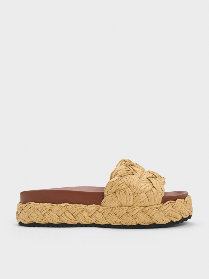 Charles And Keith Tali Raffia Braided Slides Dark Brown | PHILIPPINES P620