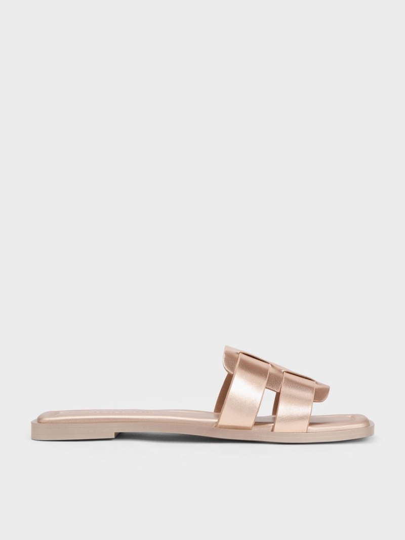 Charles And Keith Trichelle Interwoven Metallic Leather Slide Sandals Gold | PHILIPPINES R245