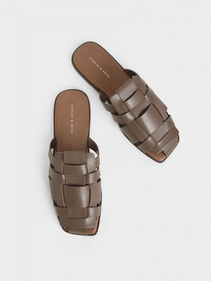 Charles And Keith Woven Flat Mules Dark Brown | PHILIPPINES L539